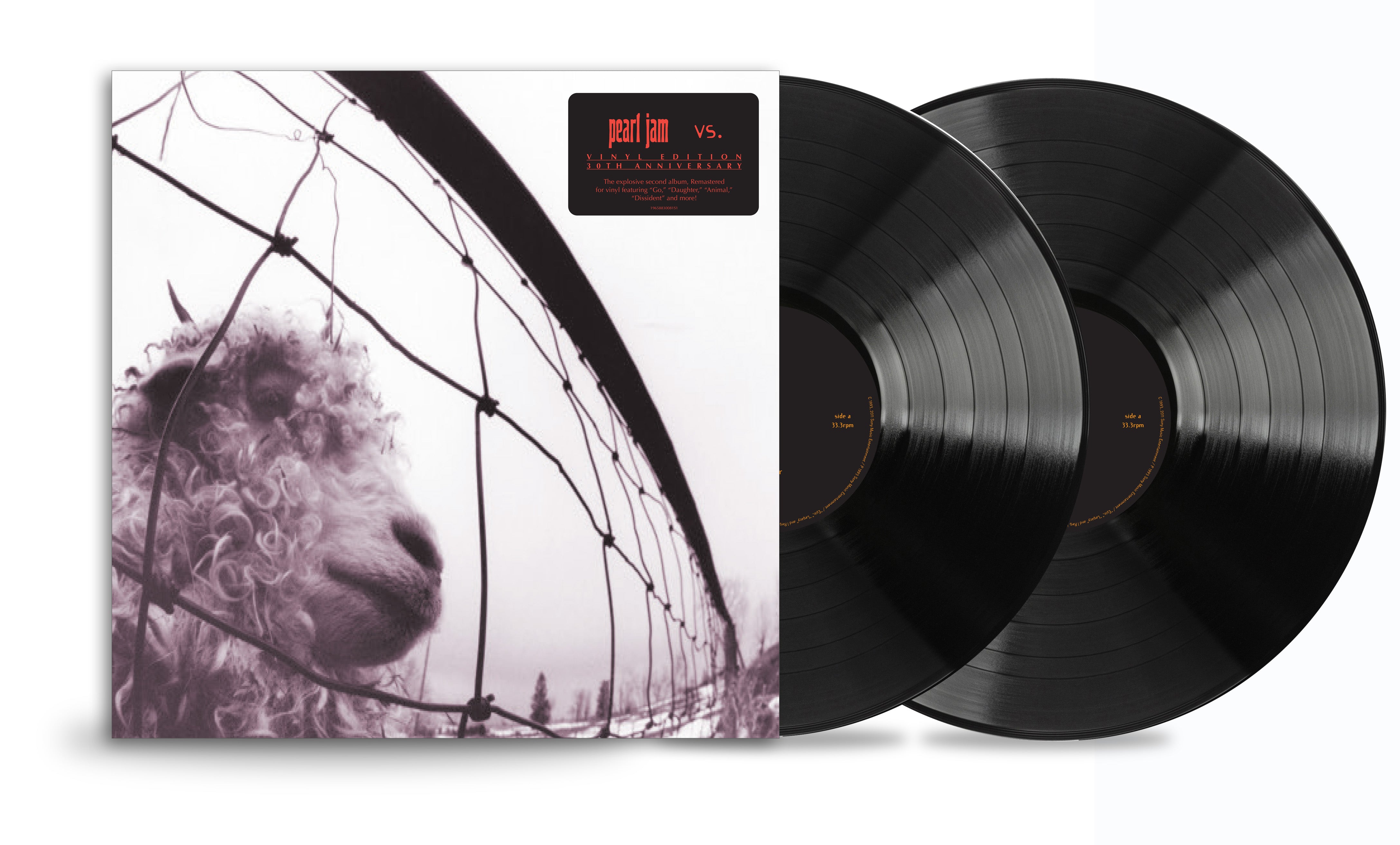 Pearl Jam - Vs: 30th Anniversary Edition – Dash The Henge Store