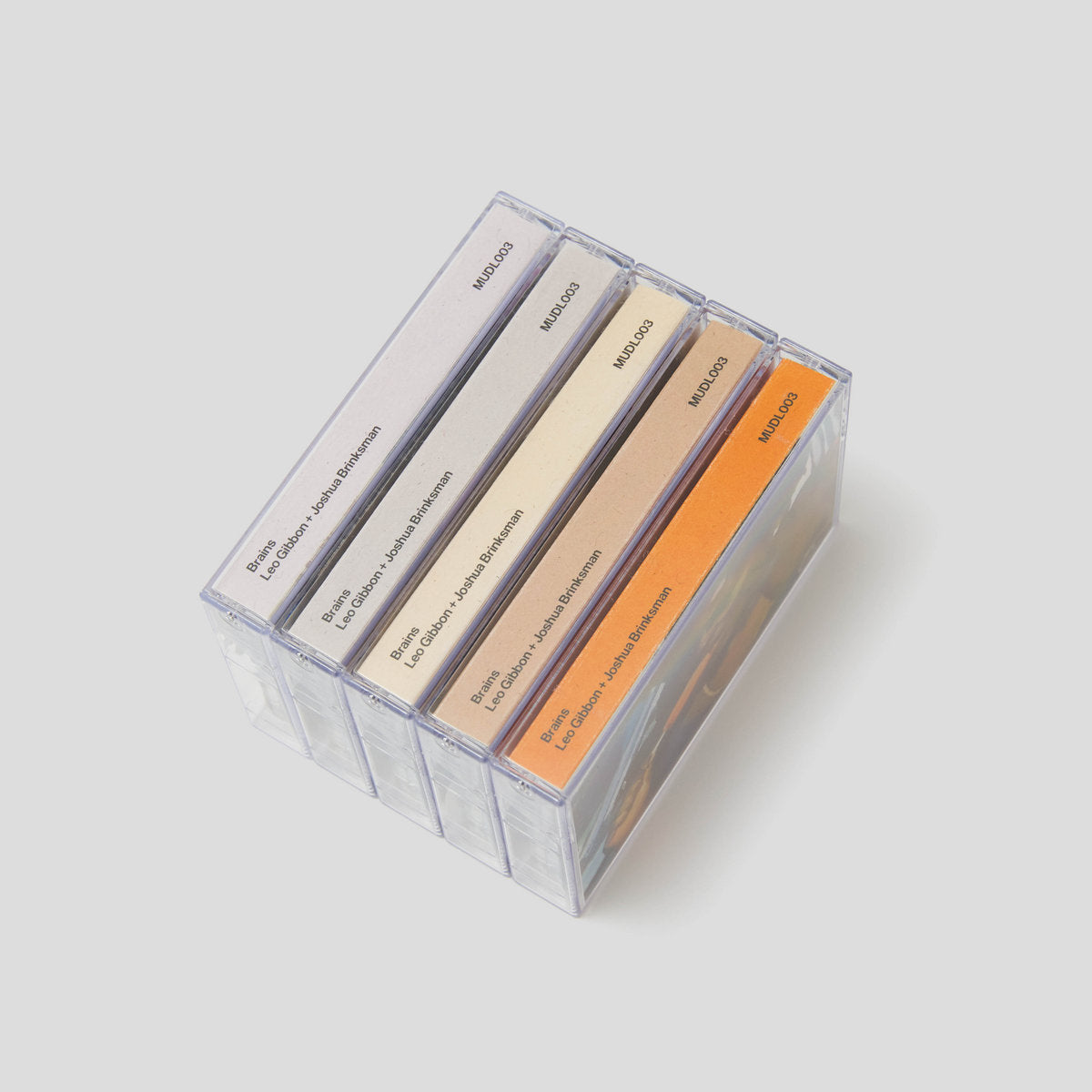 Leo Gibbon + Joshua Brinksman - Brains