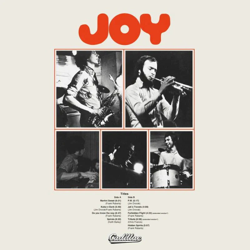 Joy - Joy – Dash The Henge Store