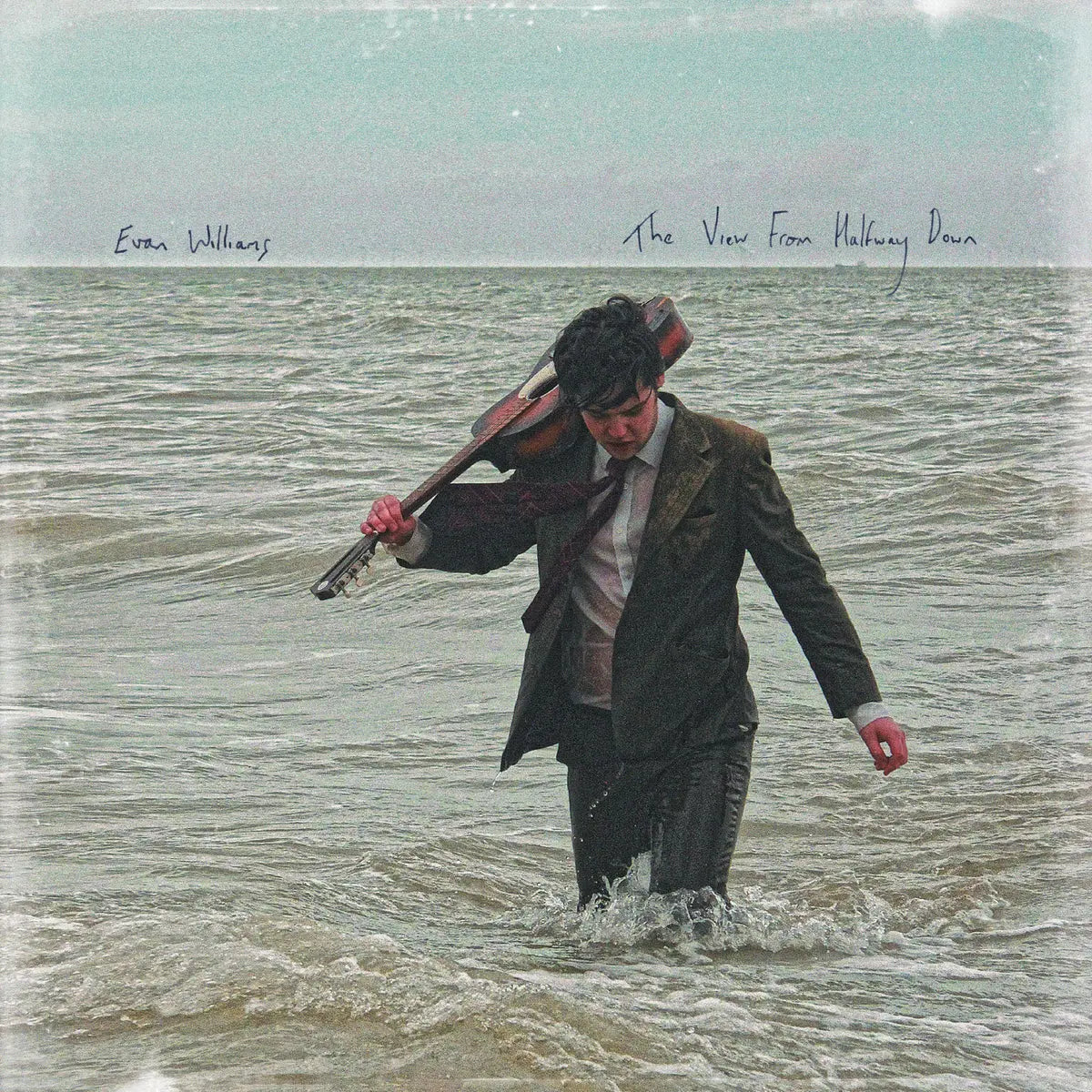 Evan Williams - The View From Halfway Down