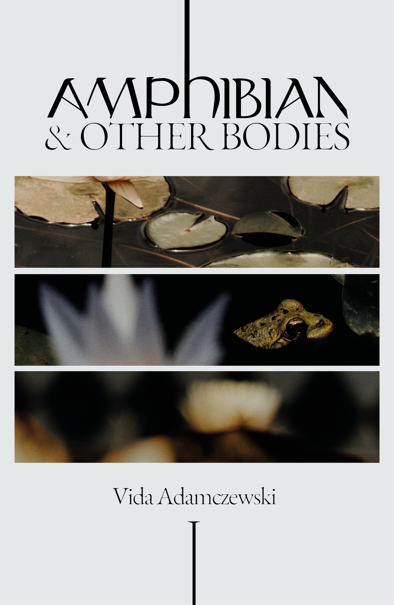 VIDA ADAMCZEWSKI - Amphibian & Other Bodies
