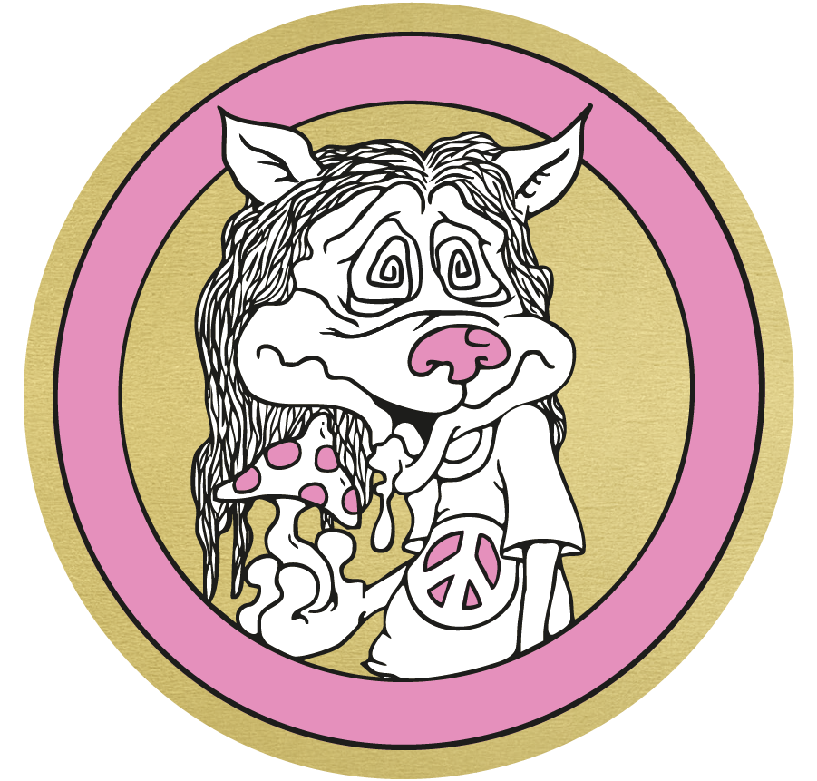 The Super Supporter Druid - The Seer