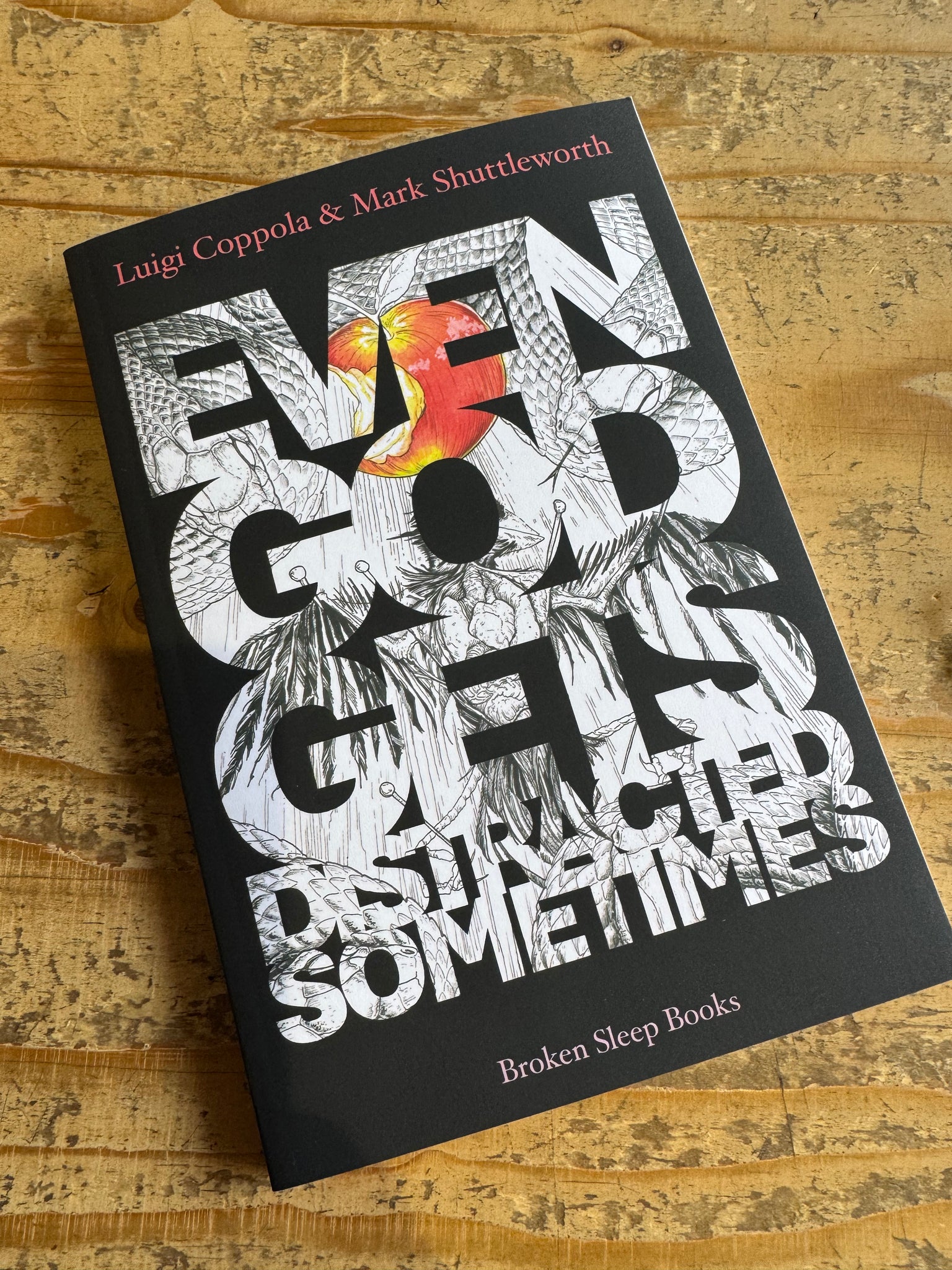 Luigi Coppola and Mark Shuttleworth - God Gets Distracted Sometimes