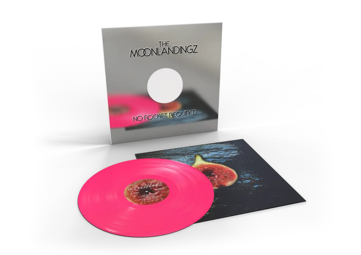 The Moonlandingz - No Rocket Required
