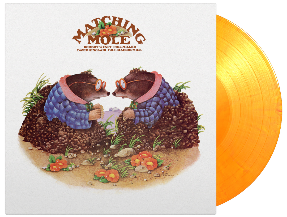 Matching Mole (Expanded Edition)